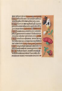 Hours of Queen Isabella the Catholic, Queen of Spain: Fol. 249r by Master of the First Prayerbook of Maximillian