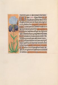 Hours of Queen Isabella the Catholic, Queen of Spain: Fol. 254v by Master of the First Prayerbook of Maximillian