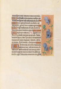 Hours of Queen Isabella the Catholic, Queen of Spain: Fol. 256r, c. 1500 by Master of the First Prayerbook of Maximillian
