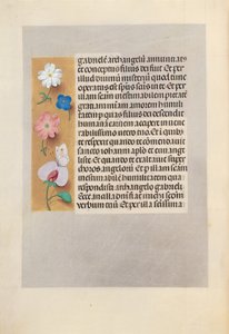 Hours of Queen Isabella the Catholic, Queen of Spain: Fol. 258v by Master of the First Prayerbook of Maximillian