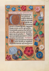 Hours of Queen Isabella the Catholic, Queen of Spain: Fol. 25r by Master of the First Prayerbook of Maximillian