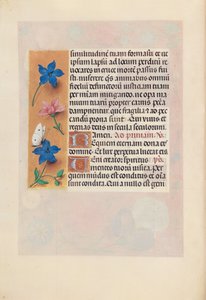 Hours of Queen Isabella the Catholic, Queen of Spain: Fol. 25v, c. 1500 by Master of the First Prayerbook of Maximillian