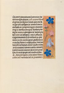 Hours of Queen Isabella the Catholic, Queen of Spain: Fol. 260r, c. 1500 by Master of the First Prayerbook of Maximillian