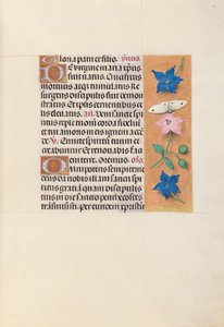 Hours of Queen Isabella the Catholic, Queen of Spain: Fol. 33r, c. 1500 by Master of the First Prayerbook of Maximillian