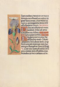 Hours of Queen Isabella the Catholic, Queen of Spain: Fol. 45v, c. 1500 by Master of the First Prayerbook of Maximillian