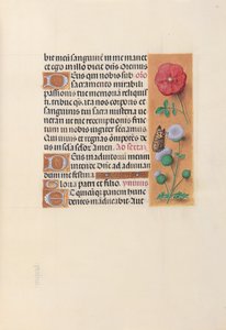 Hours of Queen Isabella the Catholic, Queen of Spain: Fol. 46r by Master of the First Prayerbook of Maximillian