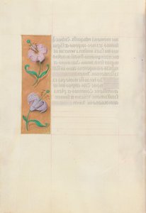 Hours of Queen Isabella the Catholic, Queen of Spain: Fol. 49v, c. 1500 by Master of the First Prayerbook of Maximillian