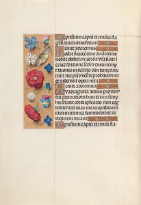 Hours of Queen Isabella the Catholic, Queen of Spain: Fol. 51v by Master of the First Prayerbook of Maximillian