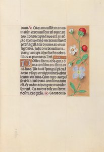 Hours of Queen Isabella the Catholic, Queen of Spain: Fol. 55r by Master of the First Prayerbook of Maximillian
