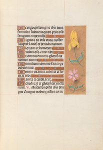 Hours of Queen Isabella the Catholic, Queen of Spain: Fol. 56r by Master of the First Prayerbook of Maximillian