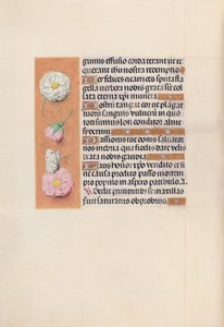 Hours of Queen Isabella the Catholic, Queen of Spain by Master of the First Prayerbook of Maximillian