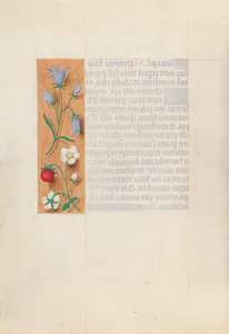 Hours of Queen Isabella the Catholic, Queen of Spain: Fol. 60v, c. 1500 by Master of the First Prayerbook of Maximillian