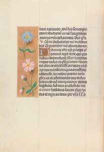 Hours of Queen Isabella the Catholic, Queen of Spain: Fol. 62v by Master of the First Prayerbook of Maximillian