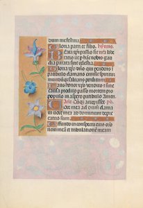 Hours of Queen Isabella the Catholic, Queen of Spain by Master of the First Prayerbook of Maximillian