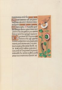 Hours of Queen Isabella the Catholic, Queen of Spain: Fol. 76r by Master of the First Prayerbook of Maximillian