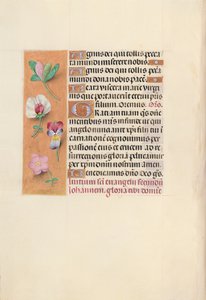 Hours of Queen Isabella the Catholic, Queen of Spain: Fol. 92v by Master of the First Prayerbook of Maximillian