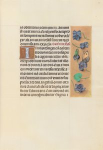 Hours of Queen Isabella the Catholic, Queen of Spain: Fol. 96r by Master of the First Prayerbook of Maximillian
