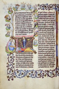 The tree of Jesse issuing from an initial, from St Matthew
