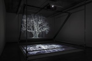 Albion by Mat Collishaw