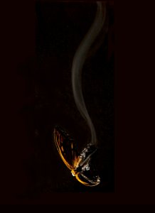 Burning Butterfly 15, 2013