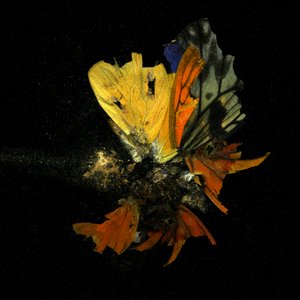 Insecticide 13