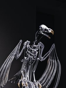 The Nerve Rack by Mat Collishaw