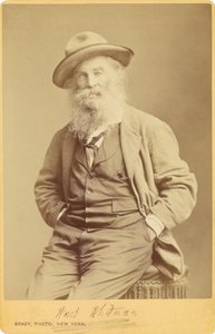 Walt Whitman by Mathew B. Brady