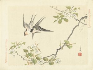 Two Swallows by Matsumura Keibun