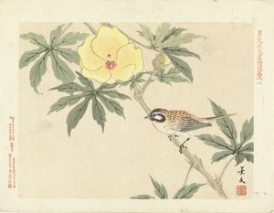 Bird on Branch with Yellow Flower