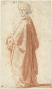 Study of a Model in a Wide Mantle by Matteo Rosselli