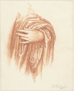 Study of a Left Hand by Mattheus Verheyden