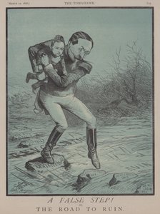 A False Step! or, The Road to Ruin by Matthew