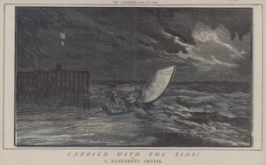 Carried with the Tide! or, A Dangerous Cruise by Matthew