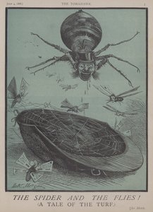 The Spider and the Flies! by Matthew