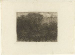 Woodland Pond