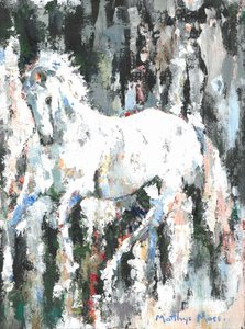 Spirited White Horse
