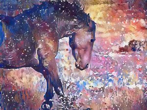 Vibrant Horse Splash