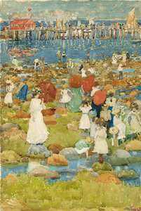 Stony Beach