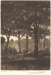 Barbizon: Forest of Fontainebleau