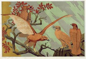 Eagles, pub. 1897