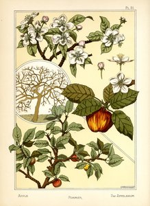 The Apple Tree by Maurice Pillard Verneuil