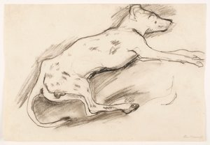 Dog with Black Spots