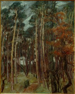 Hermsdorf Forest on a Gray Day