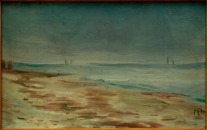 Seashore, Brown and Gray