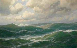 Seagulls over the Waves by Max Jensen