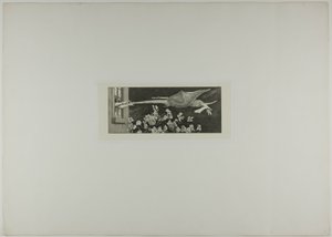 Abduction, plate nine from A Glove by Max Klinger