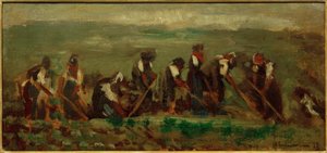 Worker in the Beet Field - Composition Study