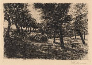 Herd of Sheep Under Trees by Max Liebermann