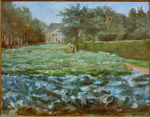 Cabbage Field in Wannsee Garden Facing West