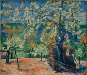 Blühender Kirschbaum